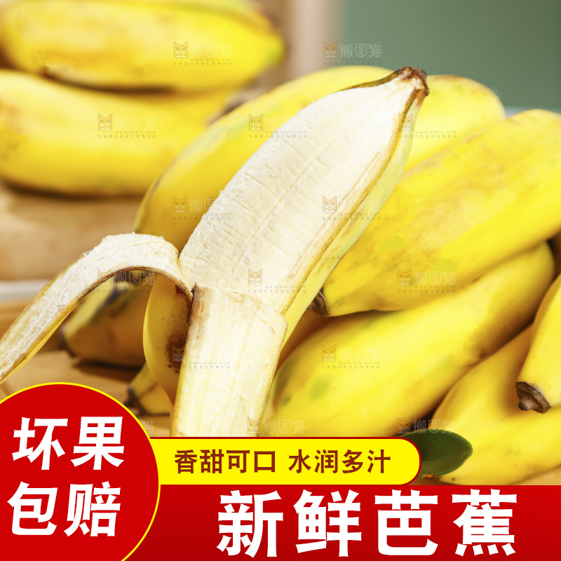 浅底上的芭蕉
