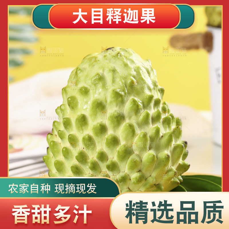 浅底上的释迦果