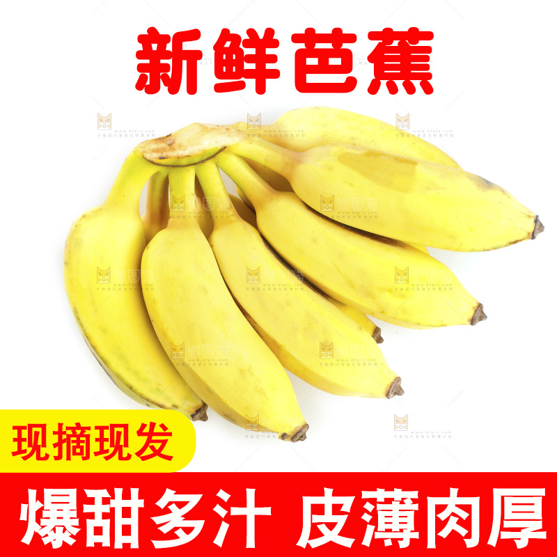 白底上的芭蕉