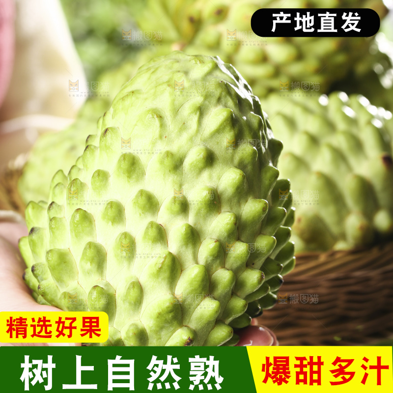 手里拿着释迦果