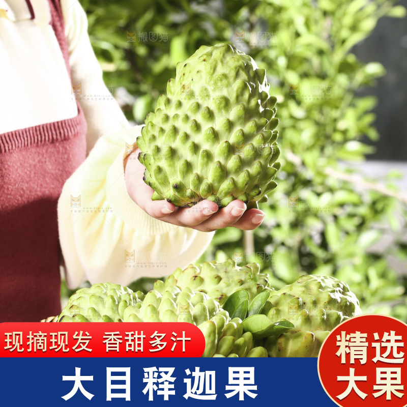 手里拿着释迦果