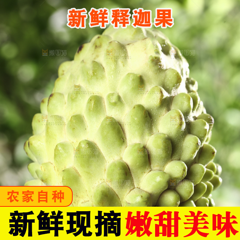 手里拿着释迦果
