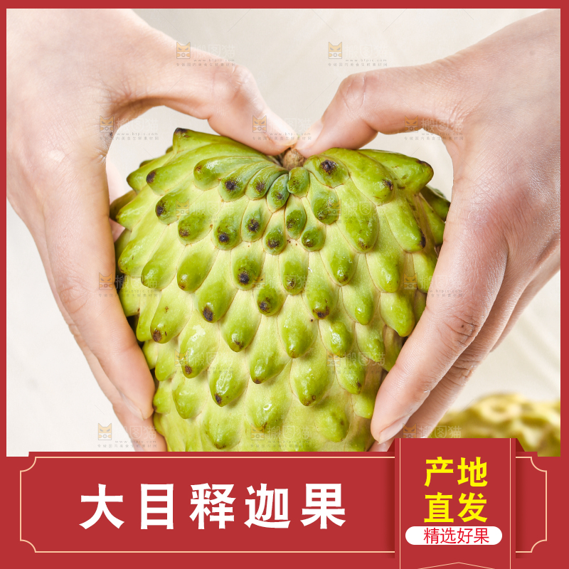 浅底上的释迦果