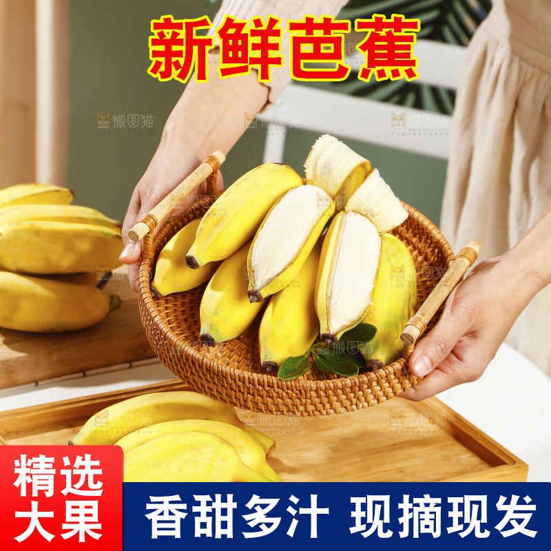 浅底上的芭蕉