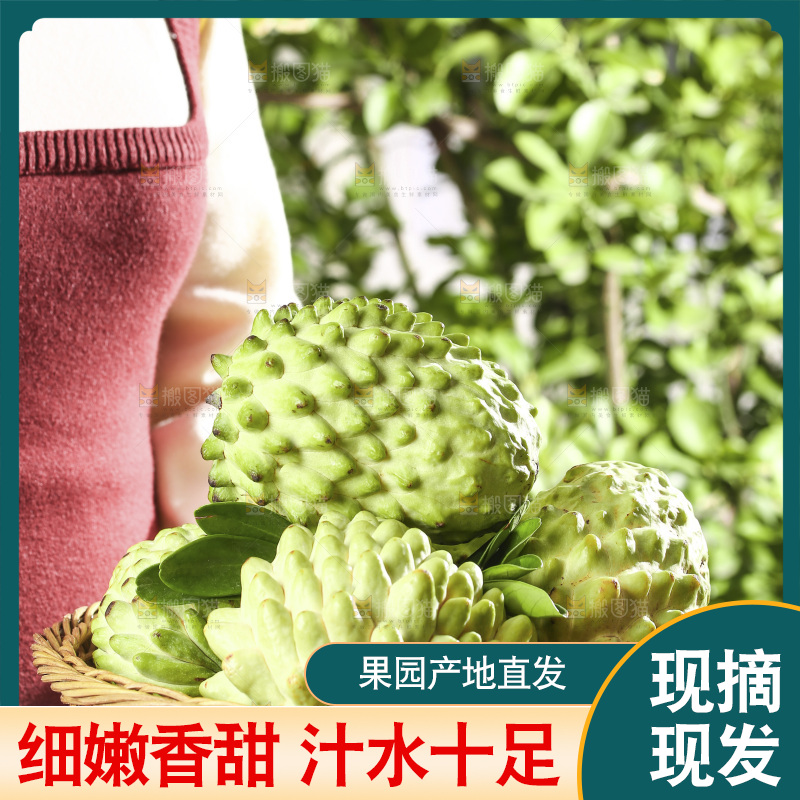 手里拿着释迦果