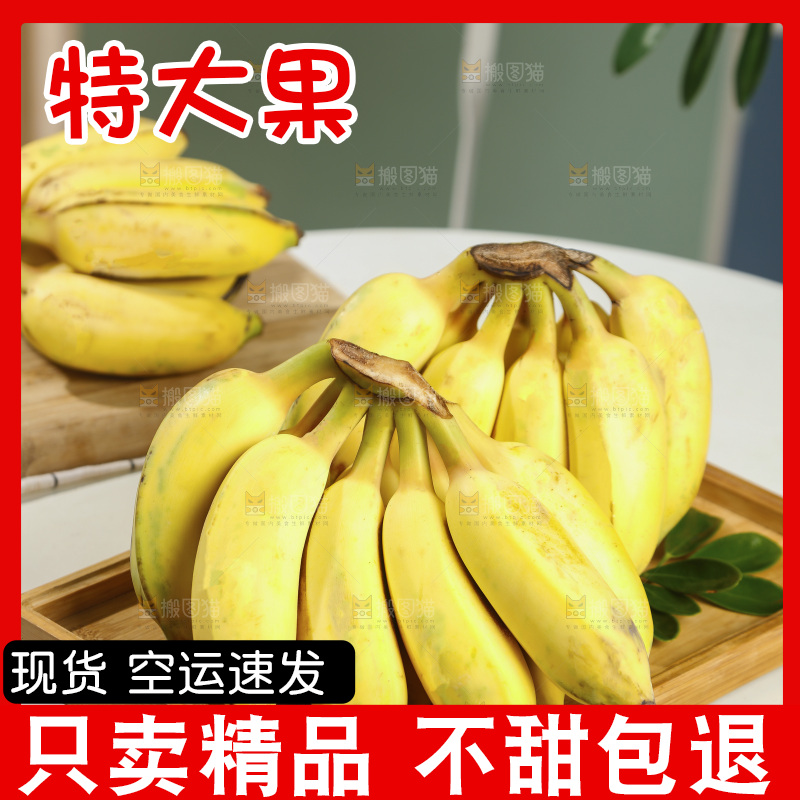 浅底上的芭蕉