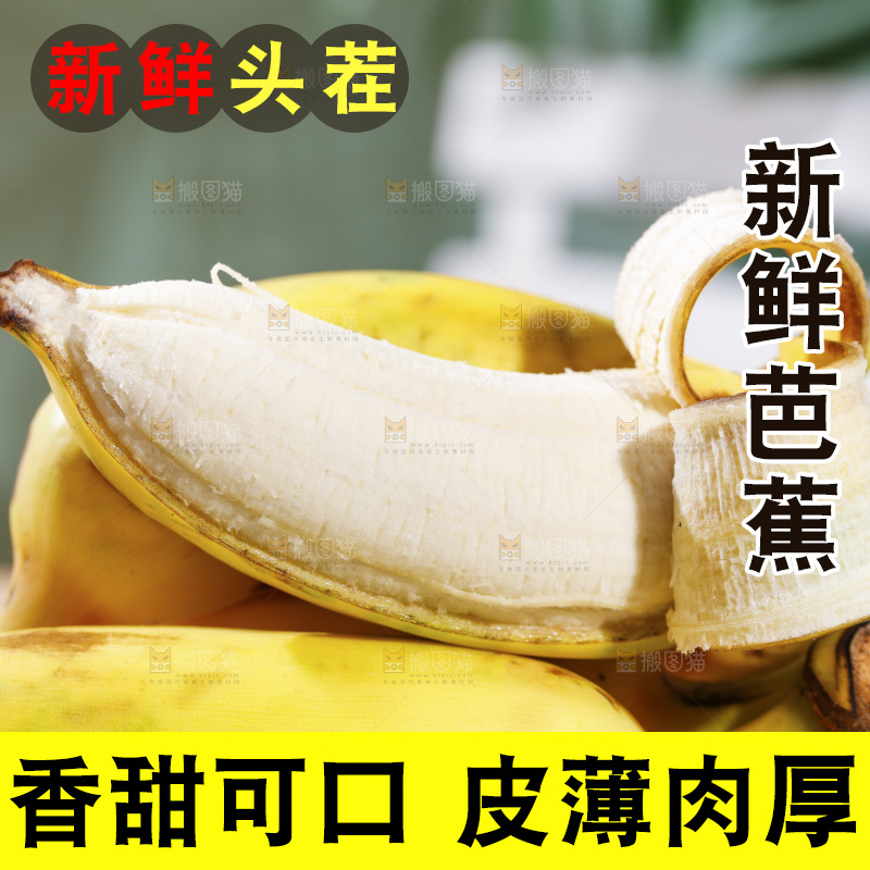 浅底上的芭蕉