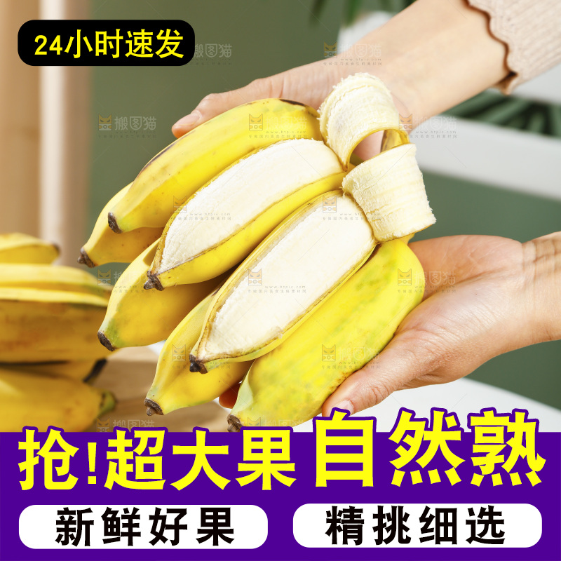 浅底上的芭蕉