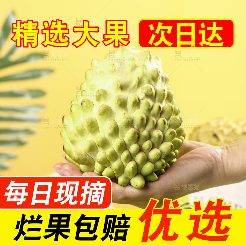 浅底上的释迦果