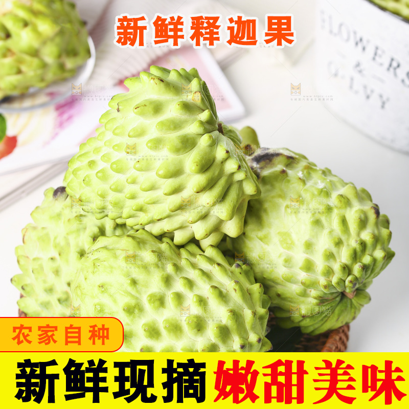 浅底上的释迦果