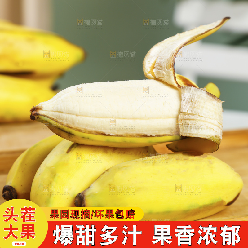 浅底上的芭蕉