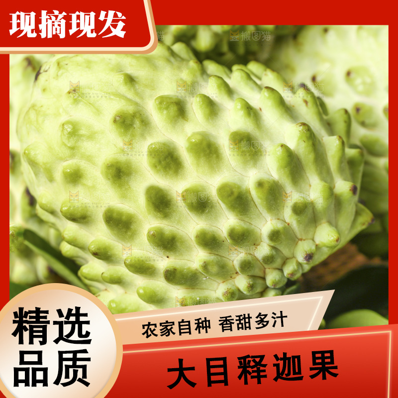 浅底上的释迦果