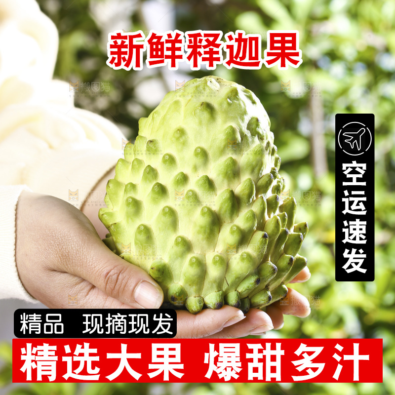 手里拿着释迦果