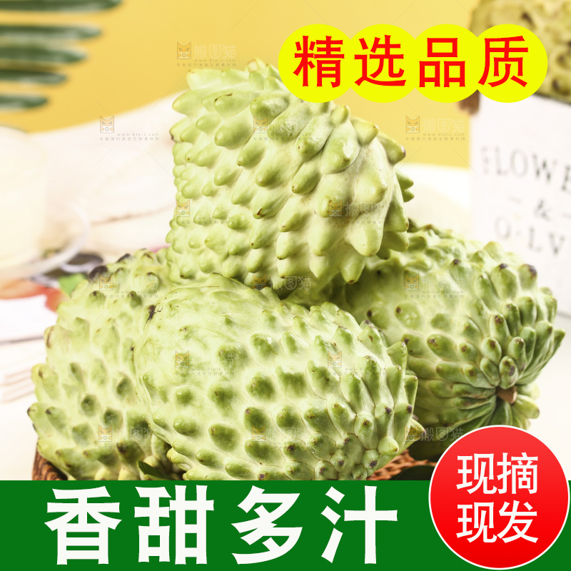 浅底上的释迦果