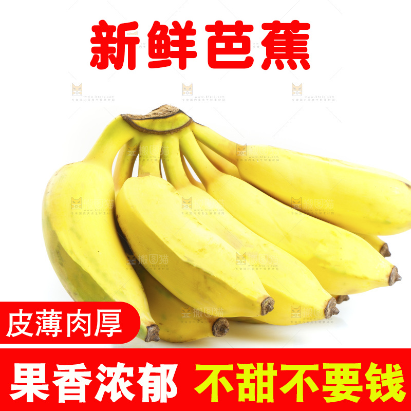 白底上的芭蕉