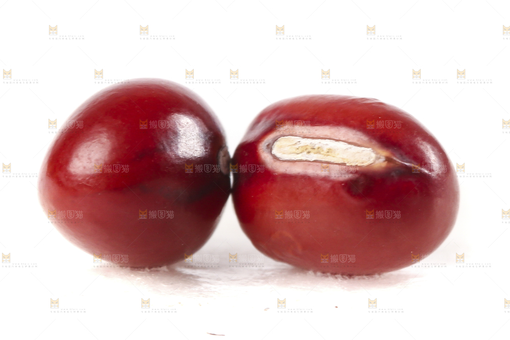 白底上的红豆