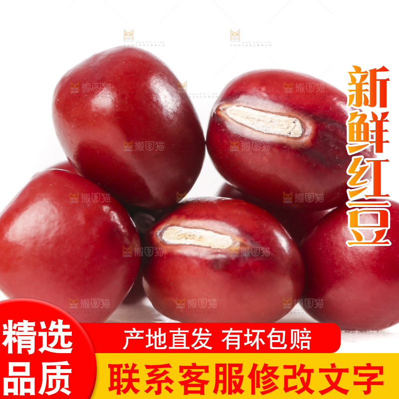 白底上的红豆