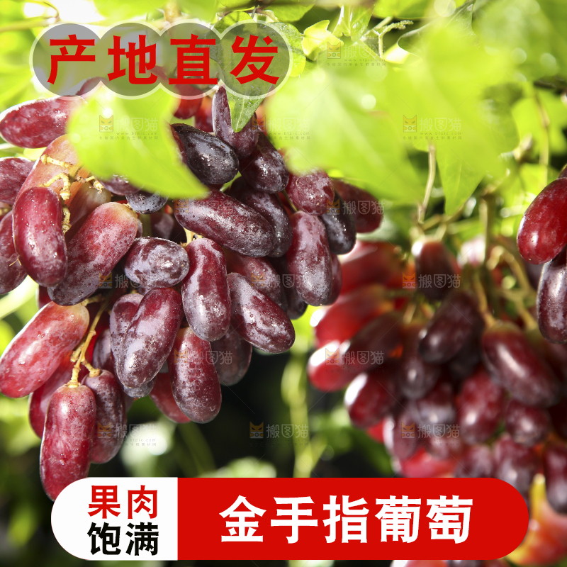 深底上的金手指葡萄