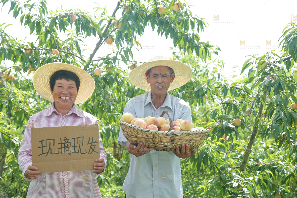 手里拿着现摘水蜜桃