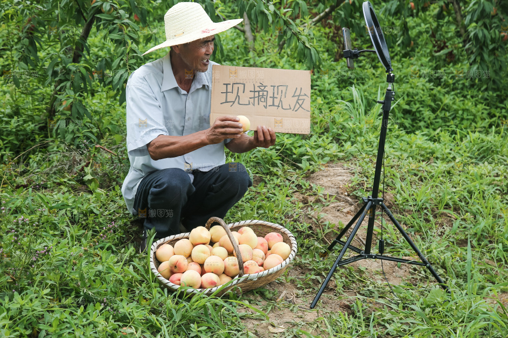 手里拿着现摘水蜜桃