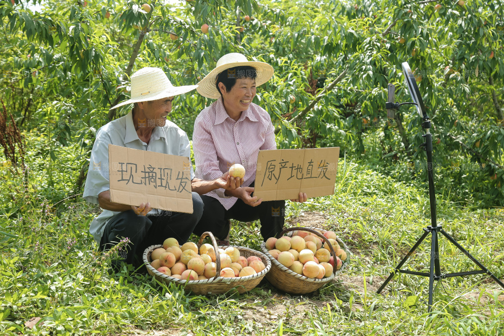 手里拿着现摘水蜜桃