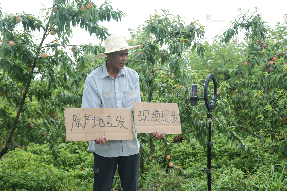 手里拿着现摘水蜜桃