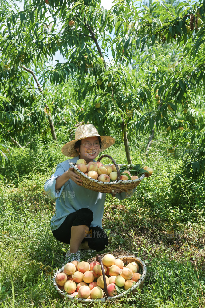 手里拿着现摘水蜜桃