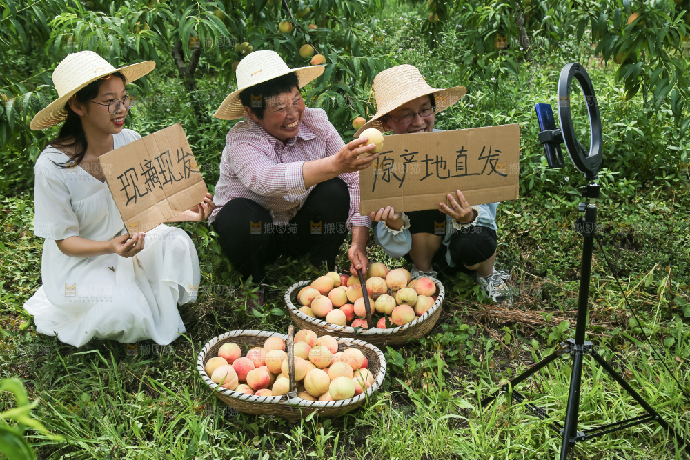 手里拿着现摘水蜜桃