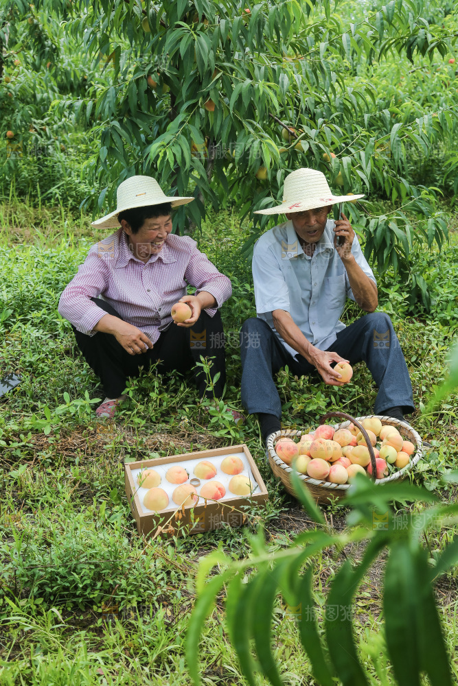 手里拿着现摘水蜜桃