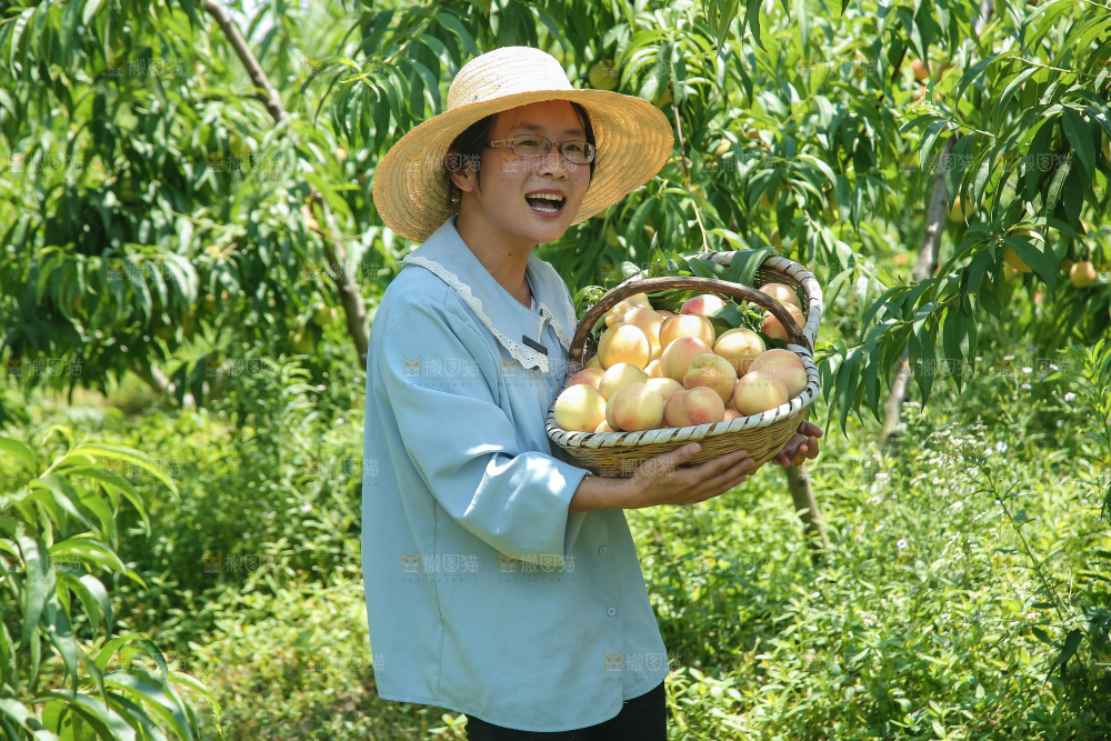 手里拿着现摘水蜜桃