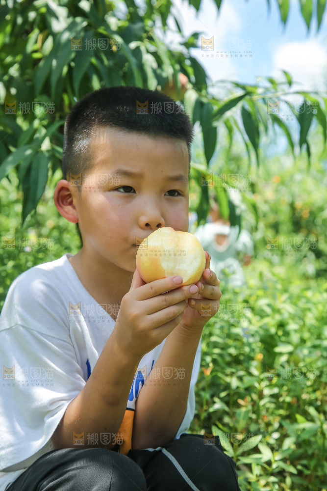 手里拿着现摘水蜜桃