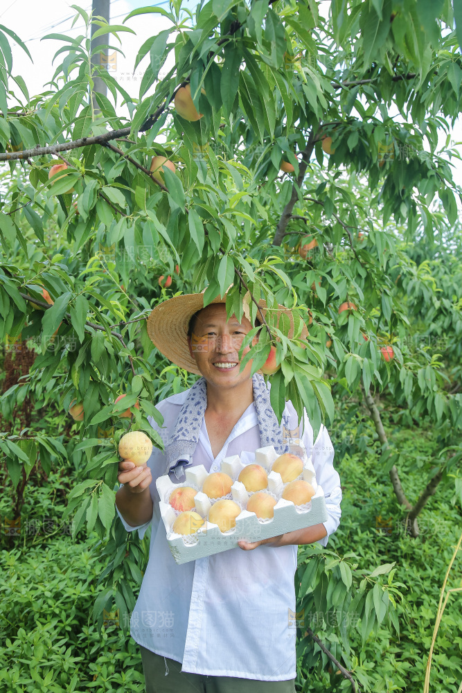 手里拿着现摘水蜜桃