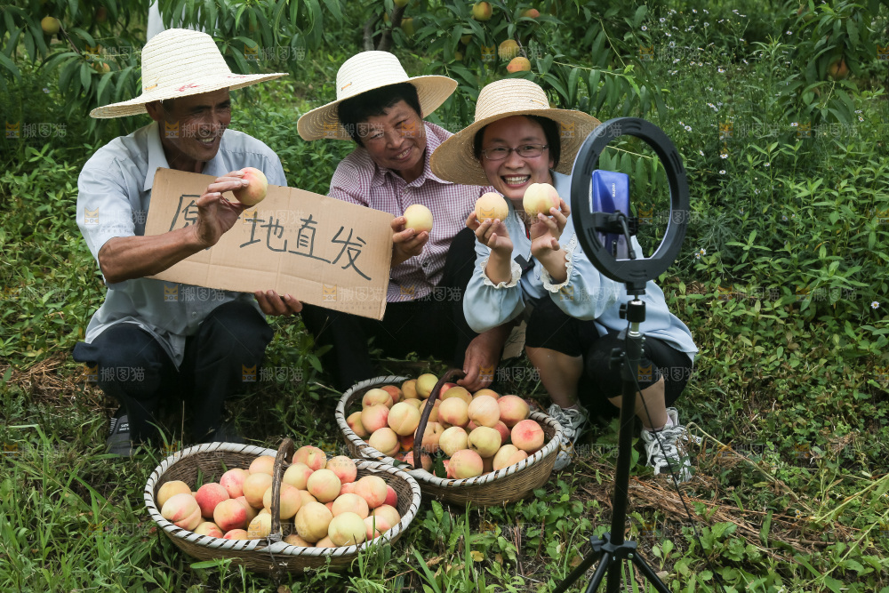 手里拿着现摘水蜜桃