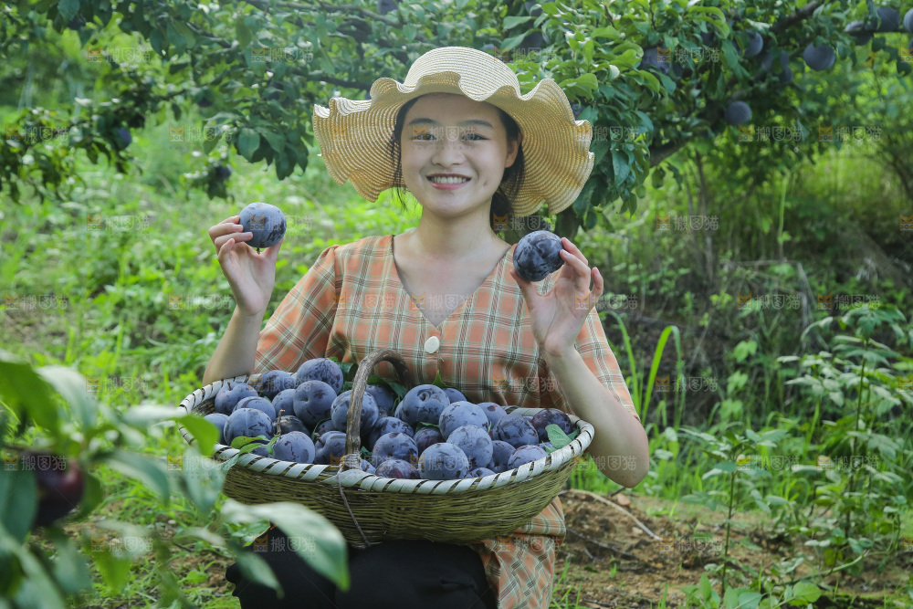 新鲜现摘黑布林