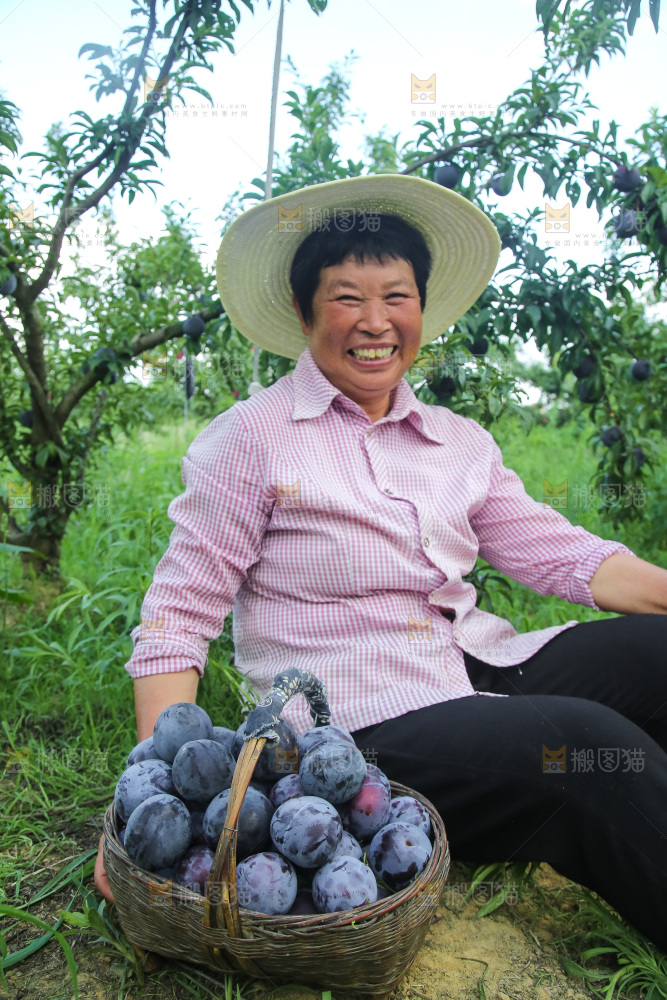 新鲜现摘黑布林