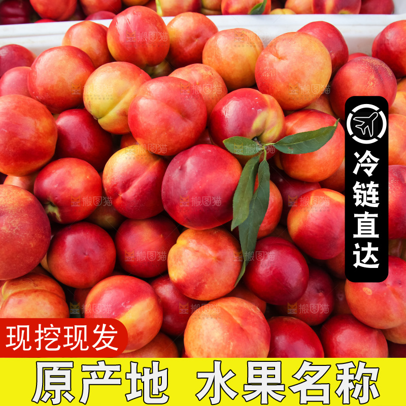 现摘的新鲜黄心油桃