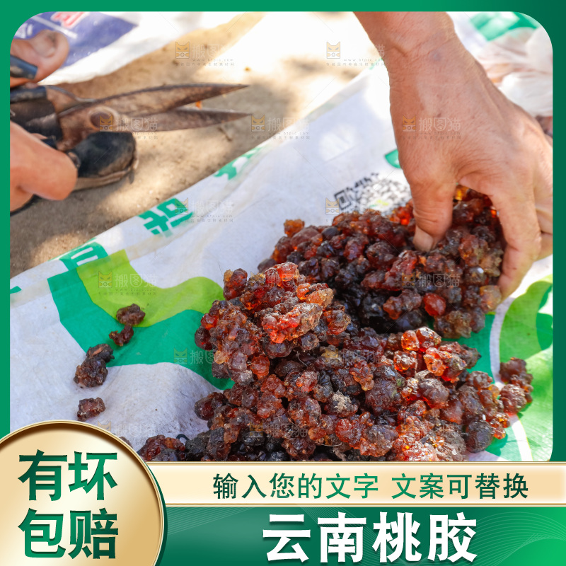 堆放着的现摘桃胶