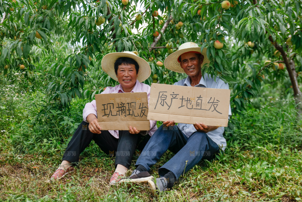 手里拿着现摘水蜜桃