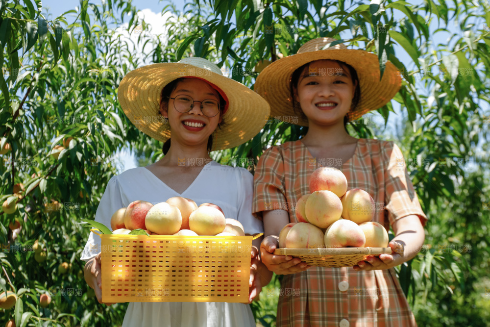 手里拿着现摘水蜜桃