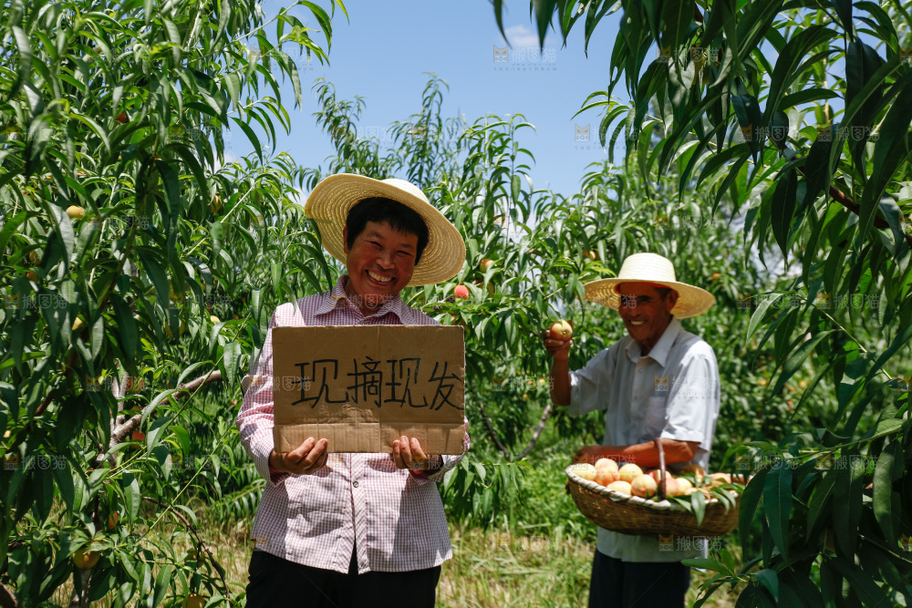 手里拿着现摘水蜜桃