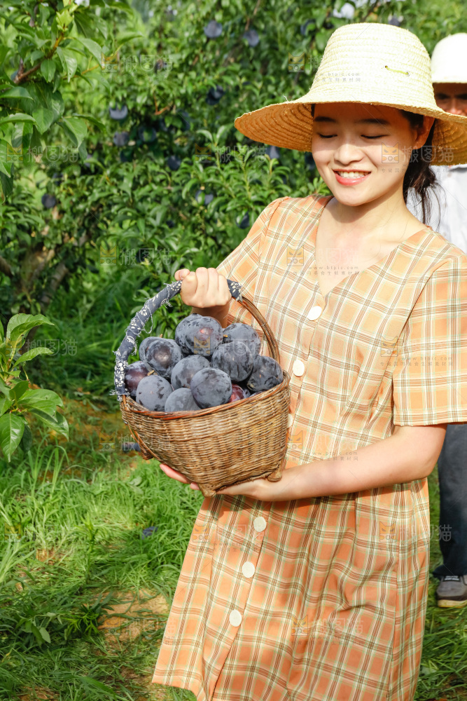 新鲜现摘黑布林