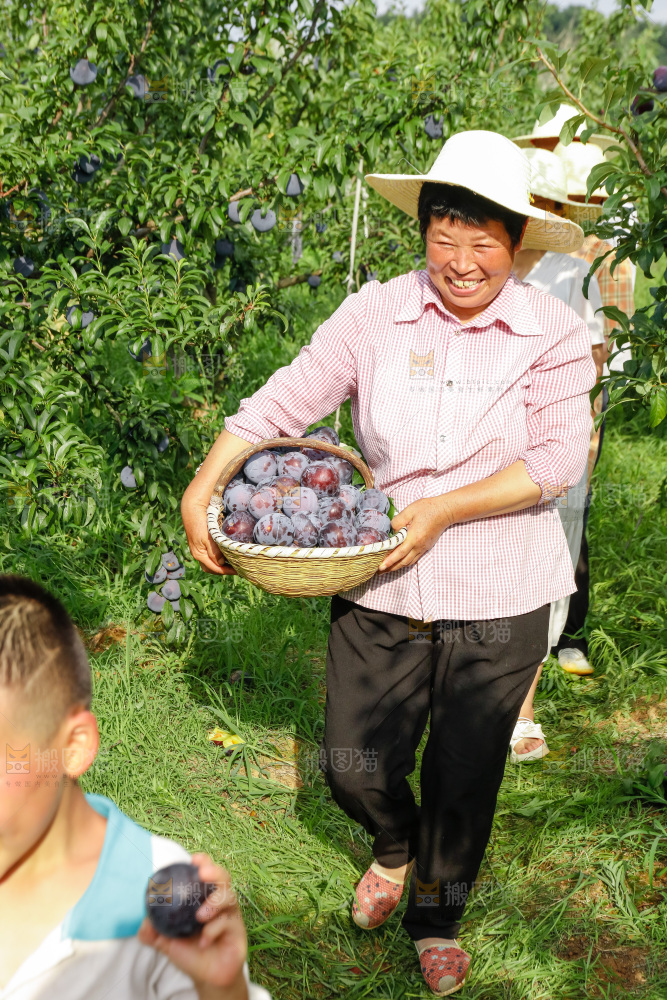 新鲜现摘黑布林