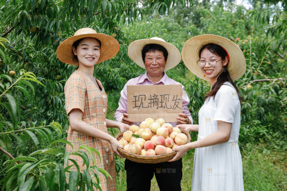 手里拿着现摘水蜜桃
