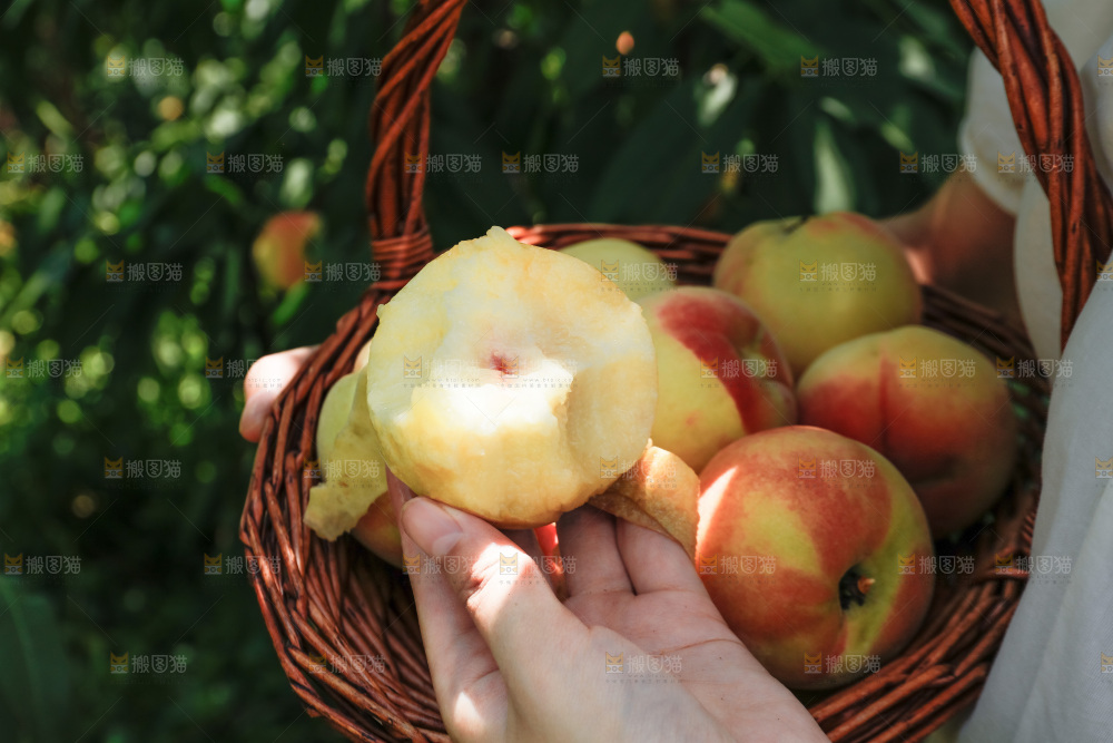 手里拿着现摘水蜜桃