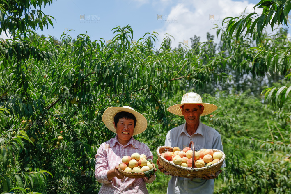 手里拿着现摘水蜜桃