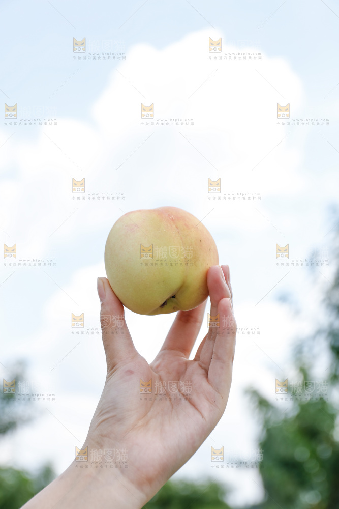 手里拿着现摘水蜜桃
