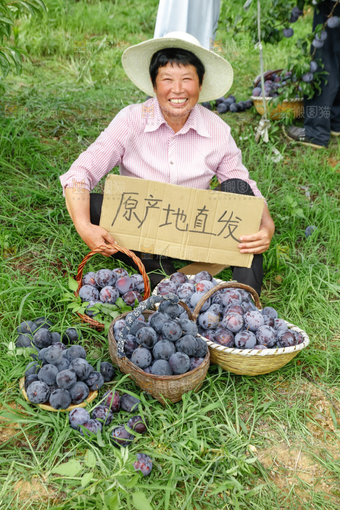 新鲜现摘黑布林