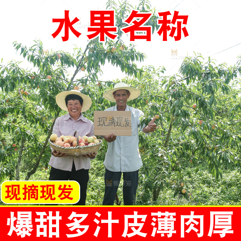 手里拿着现摘水蜜桃