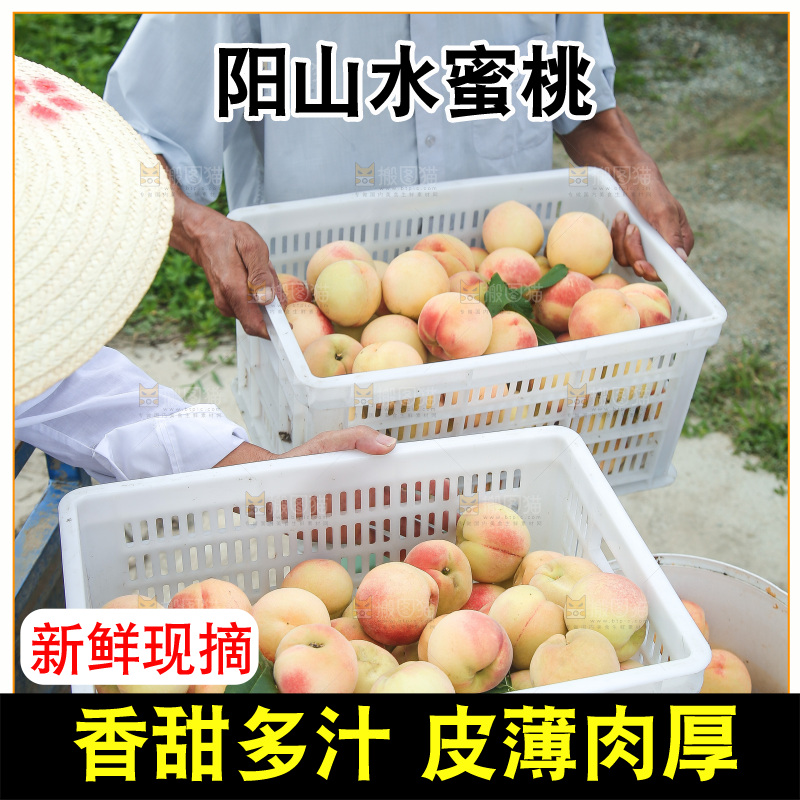 手里拿着现摘水蜜桃