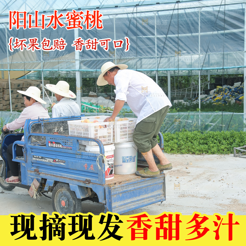 手里拿着现摘水蜜桃